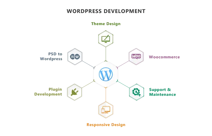 Custom website development services showing responsive design across devices